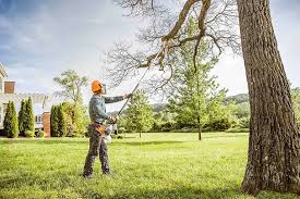 Best Tree Planting  in Southgate, KY